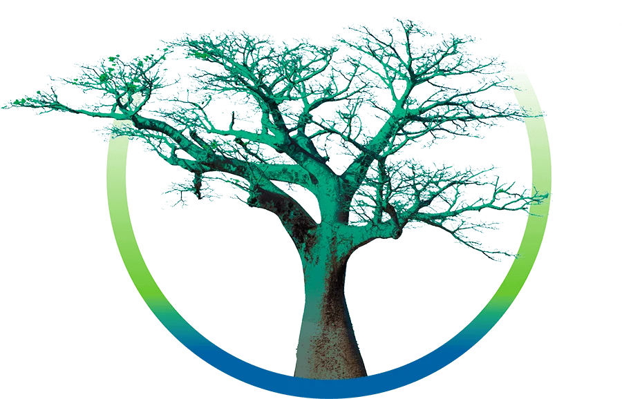 arbol2